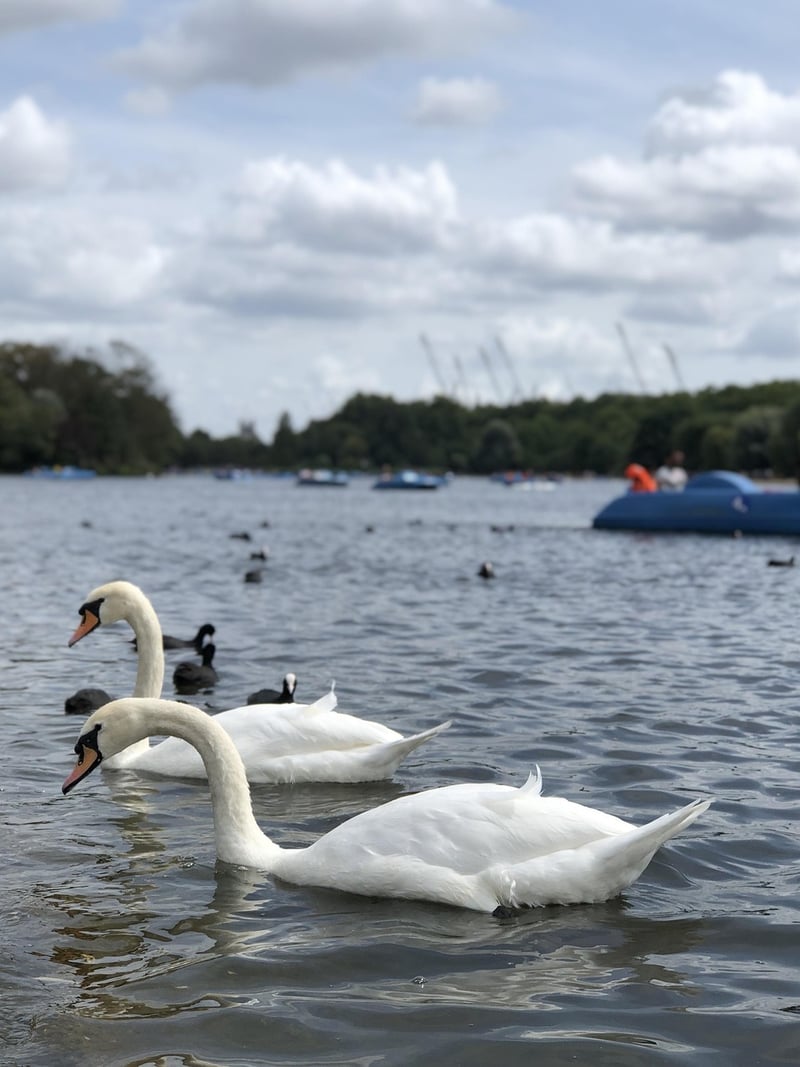 Hyde Park, London
